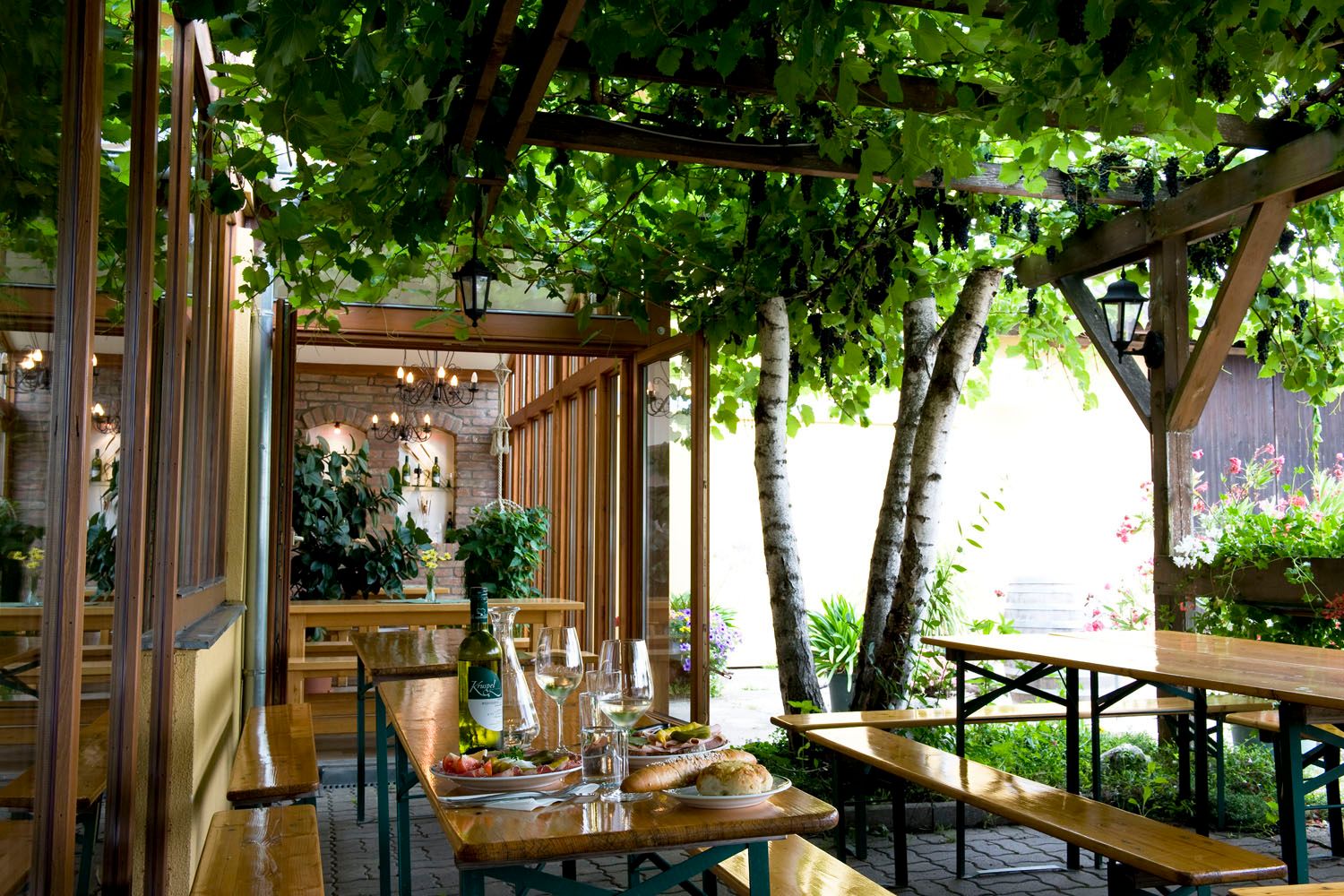 Cozy terrace with wooden tables, wine bottles and glasses, surrounded by green plants and vines.