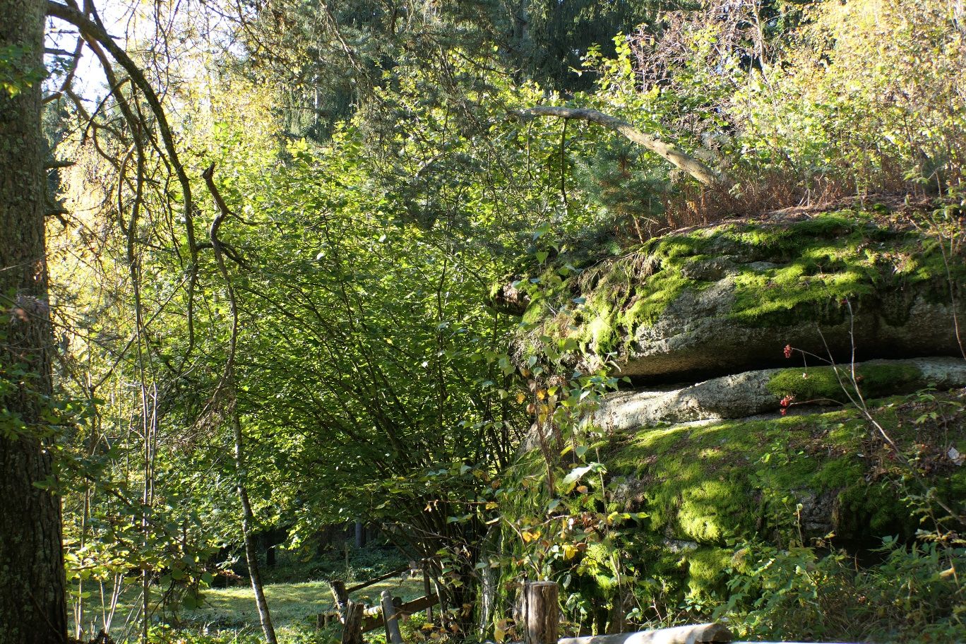 Parson's chair