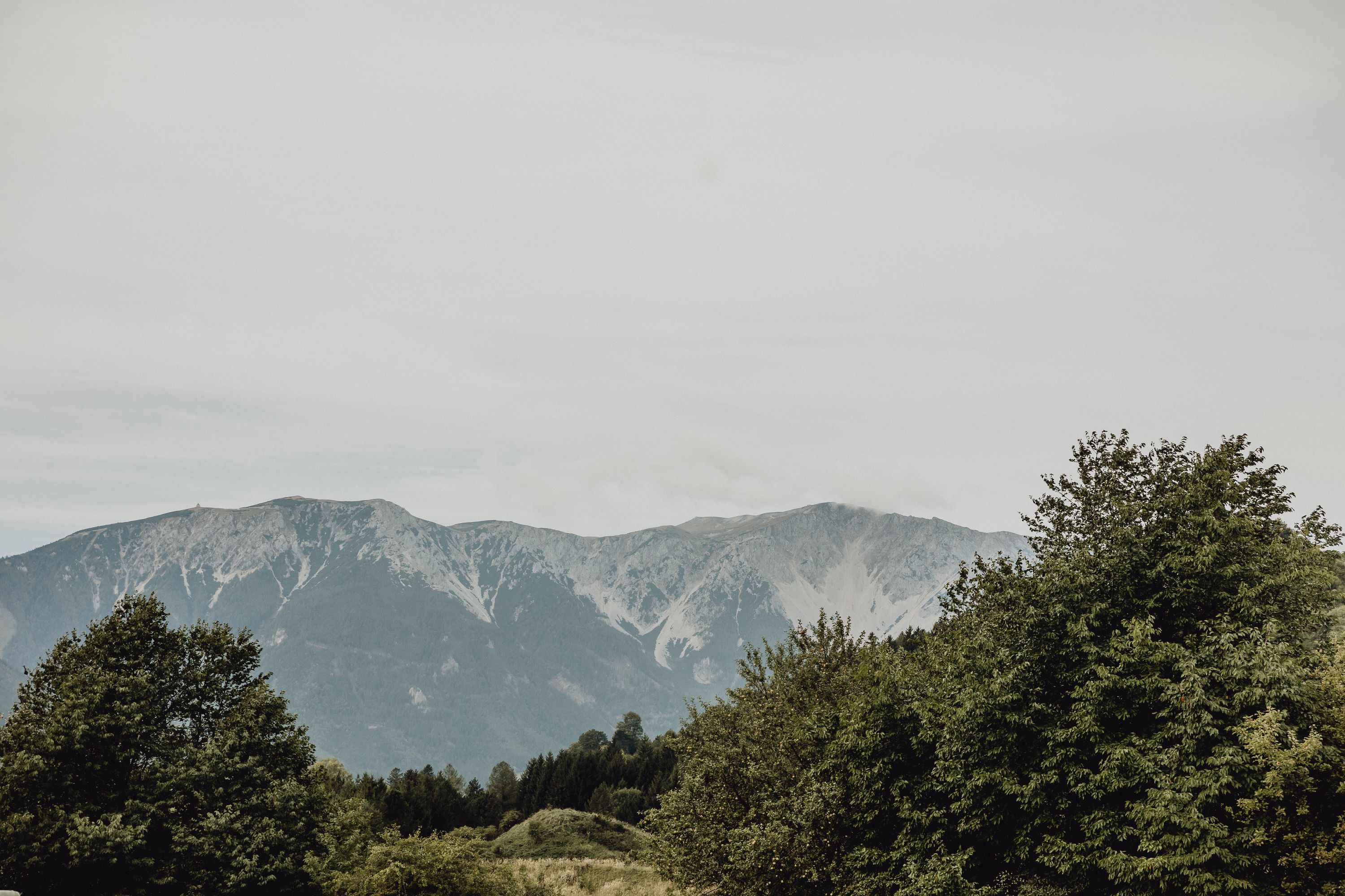 View of the Schneeberg with green trees in the foreground.