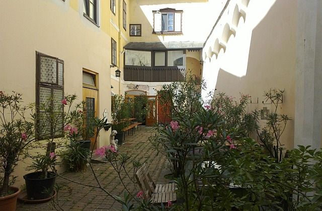 A sunny inner courtyard with plants and seating.
