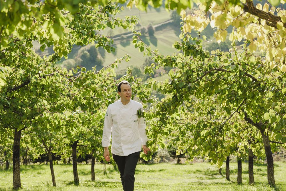 Roman Siebenhadl, dressed in white, walks through an orchard with green trees.