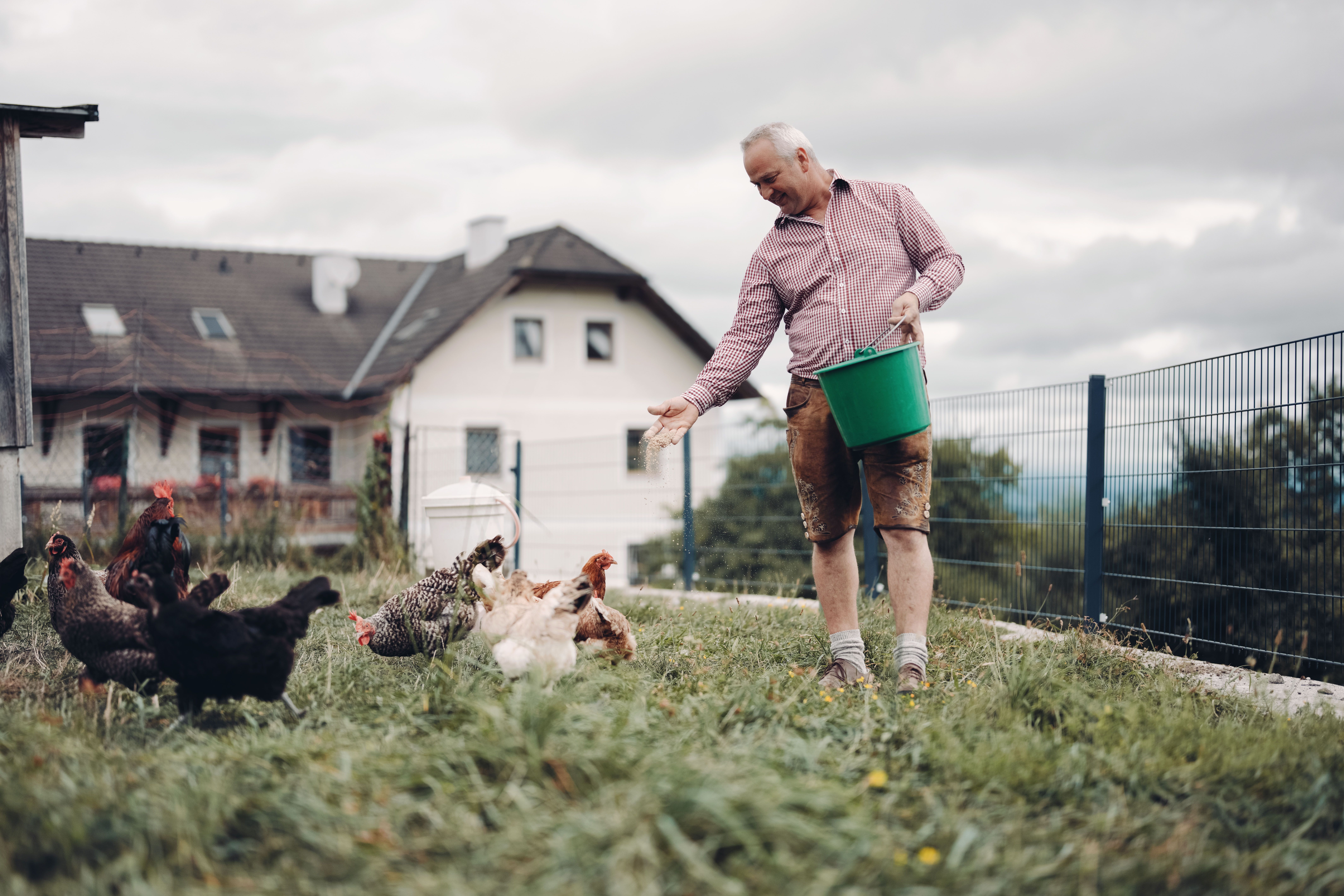 Tavern Resch on the Hörlesberg