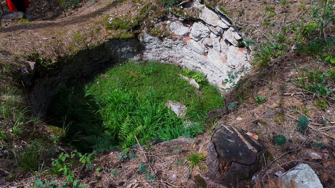 Lime kiln in the forest