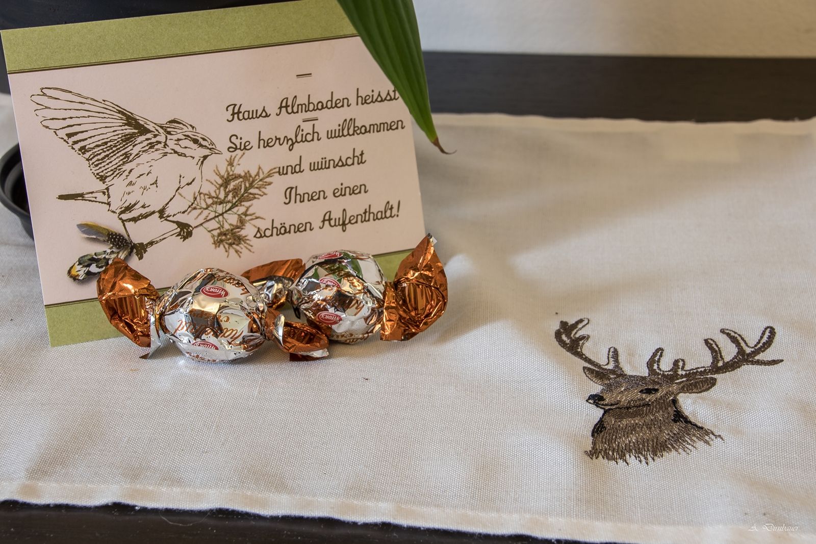 Welcome card with bird drawing and chocolates on a tablecloth with deer motif.