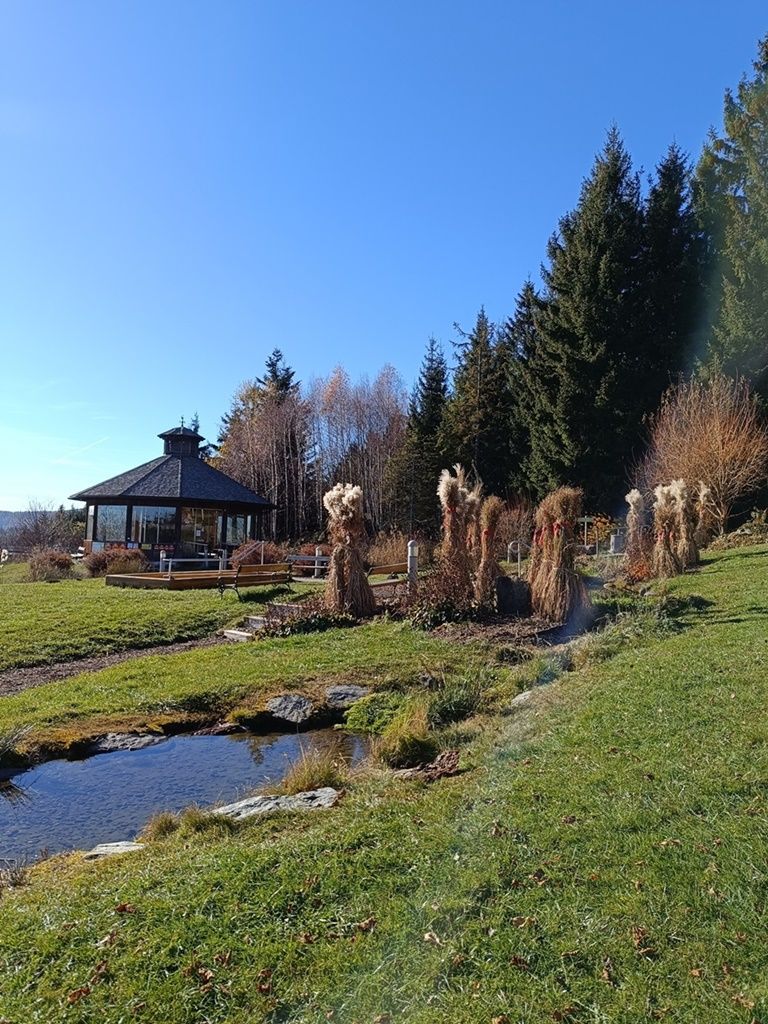 A pavilion in an autumnal landscape with trees and a small pond under a clear sky.