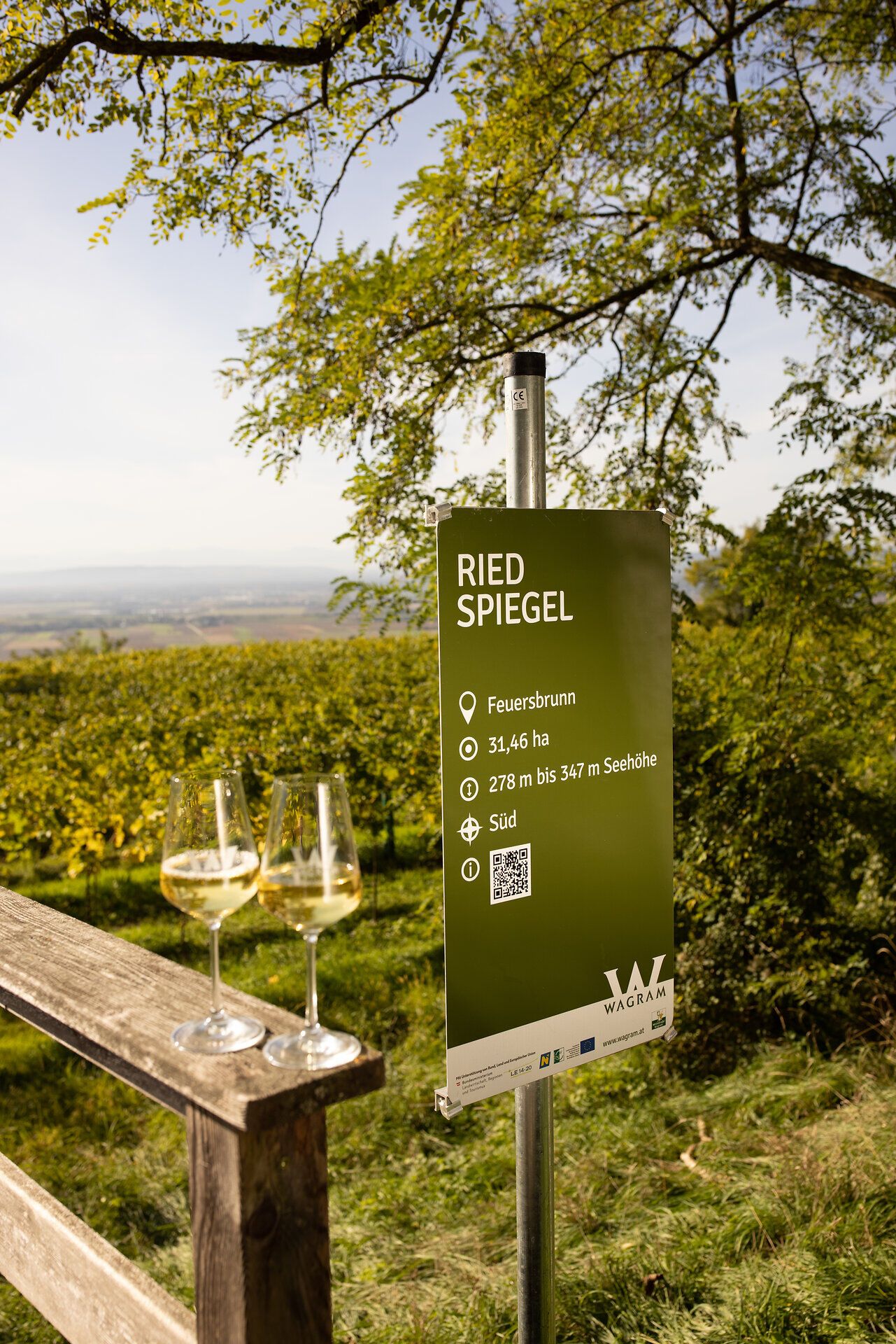 Amidst the rolling hills, the vines stretch out, blossoming in the warm light of spring. Two glasses of golden wine are ready to celebrate the delights of the region. The view of the expansive vineyards promises unforgettable moments.