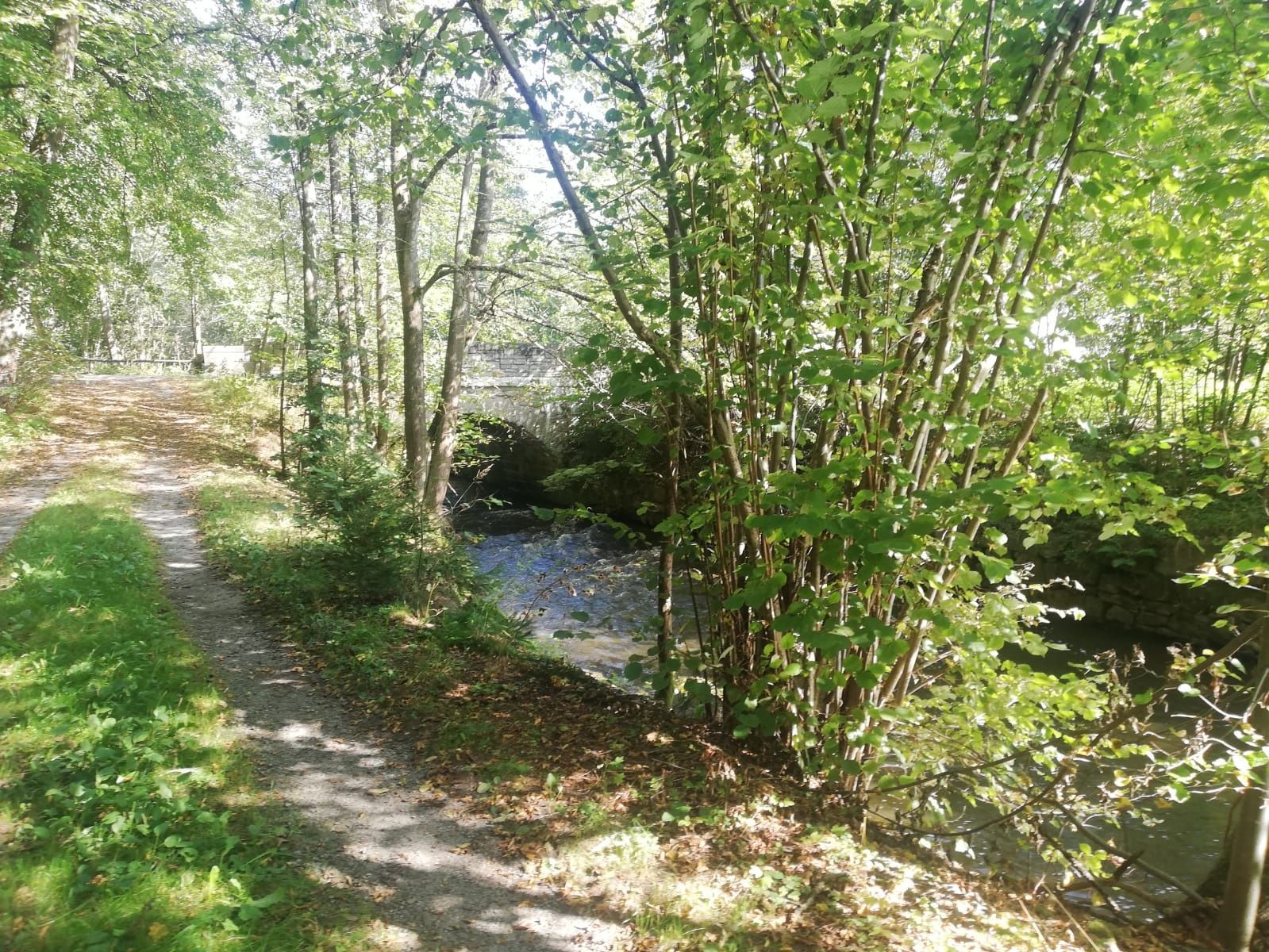 Fishing trail