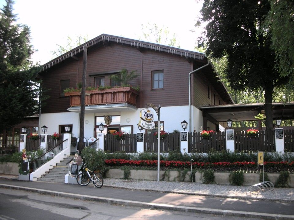 to the Wüdn Goaß