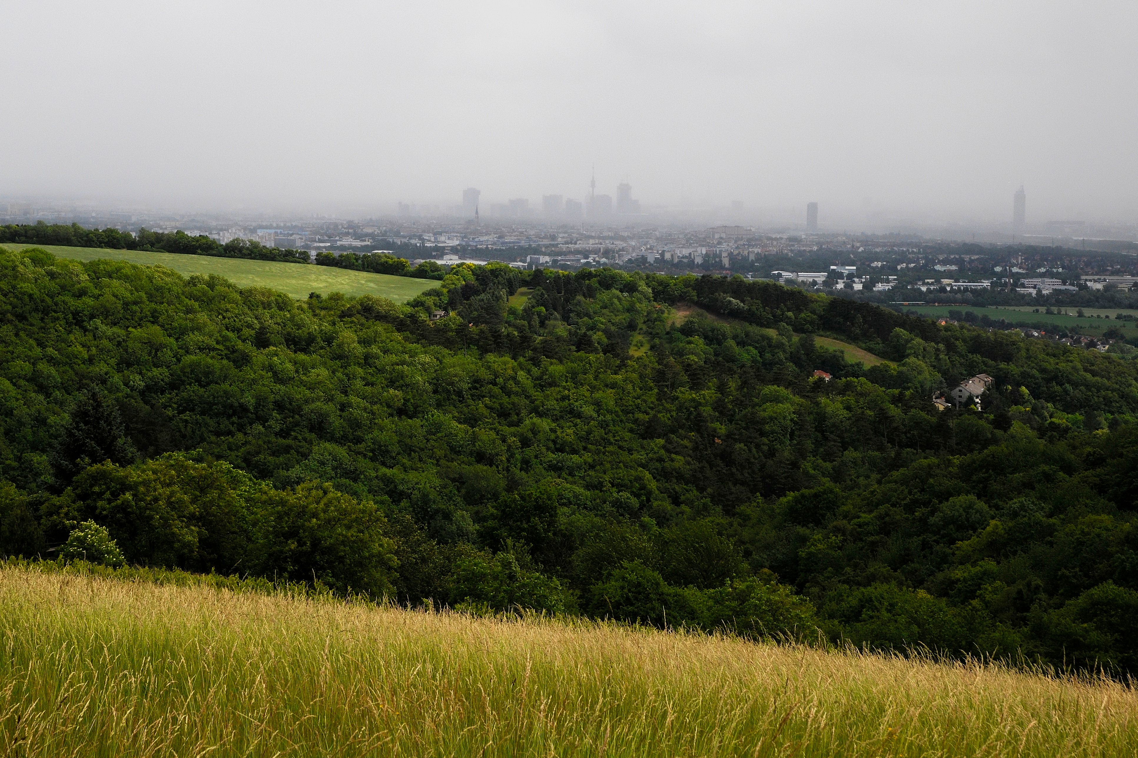 A view of Vienna from Bisamberg in the summer, with green meadows and wooded hills in the foreground.