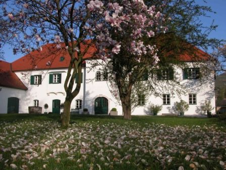 A white house with a red roof behind a blossoming tree and a meadow full of petals.