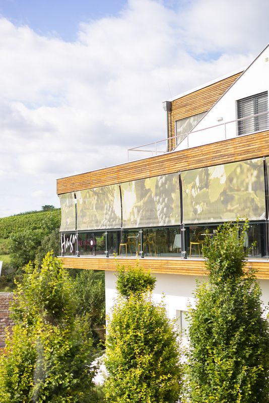 Modern building with terrace and vines in the background.