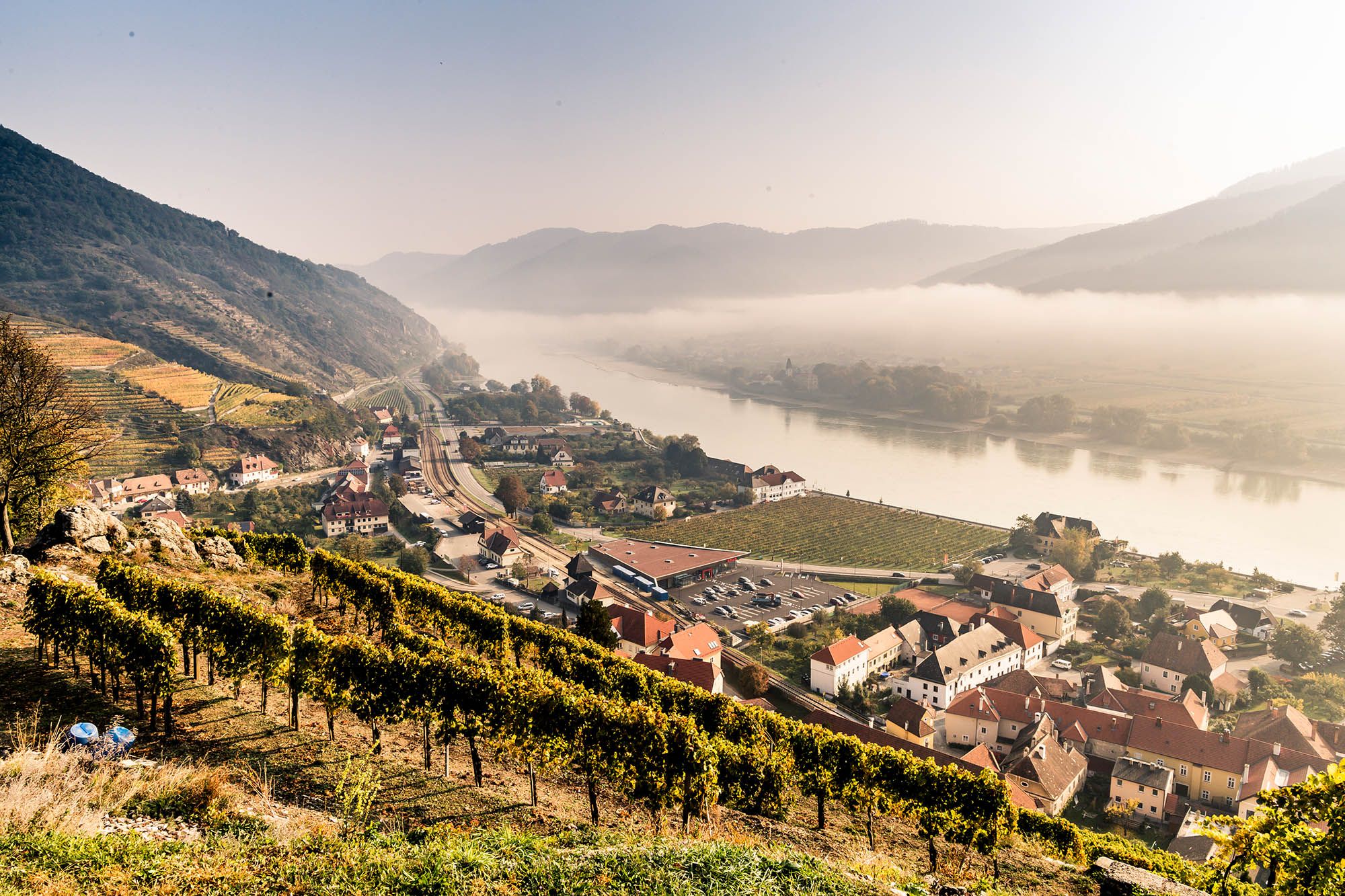 Autumn view from the Tausendeimerberg in Spitz with vineyards, village and river.