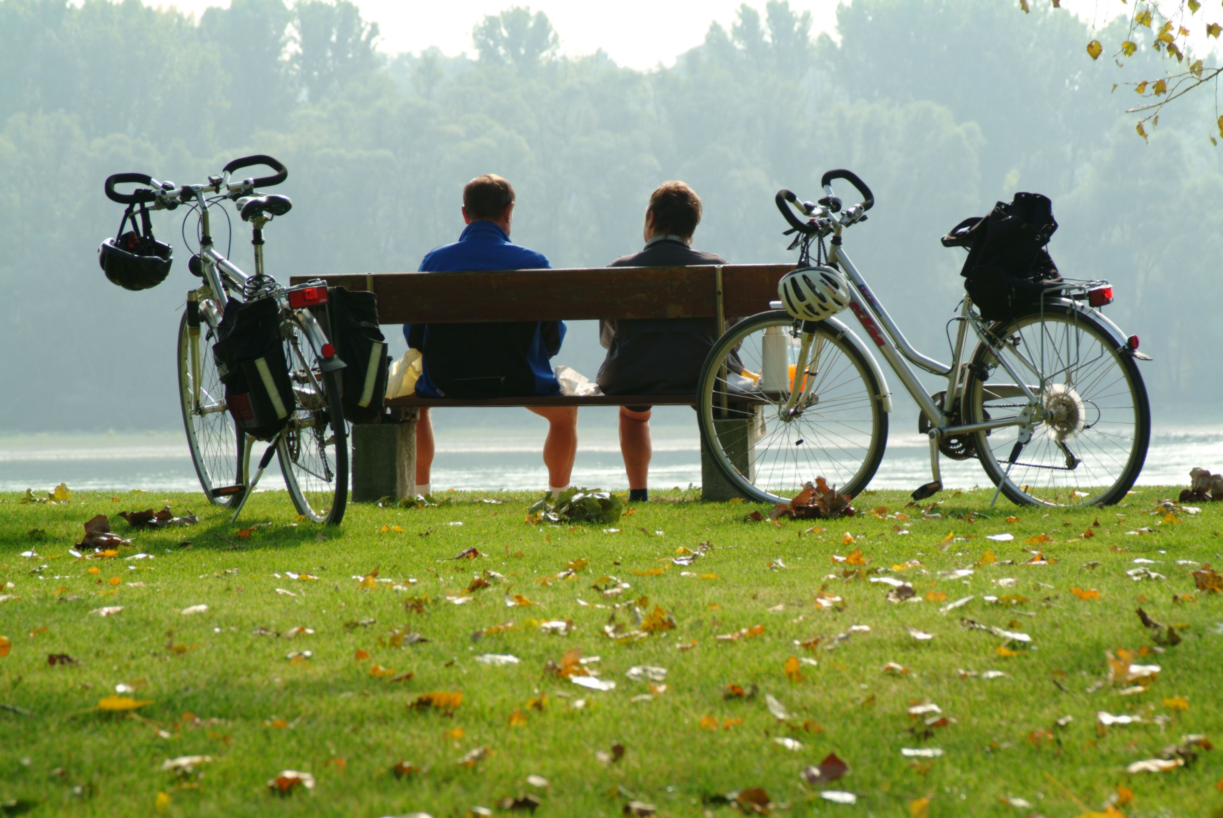 Two people are sitting on a bench by the lake, with bicycles next to them, surrounded by autumn leaves.