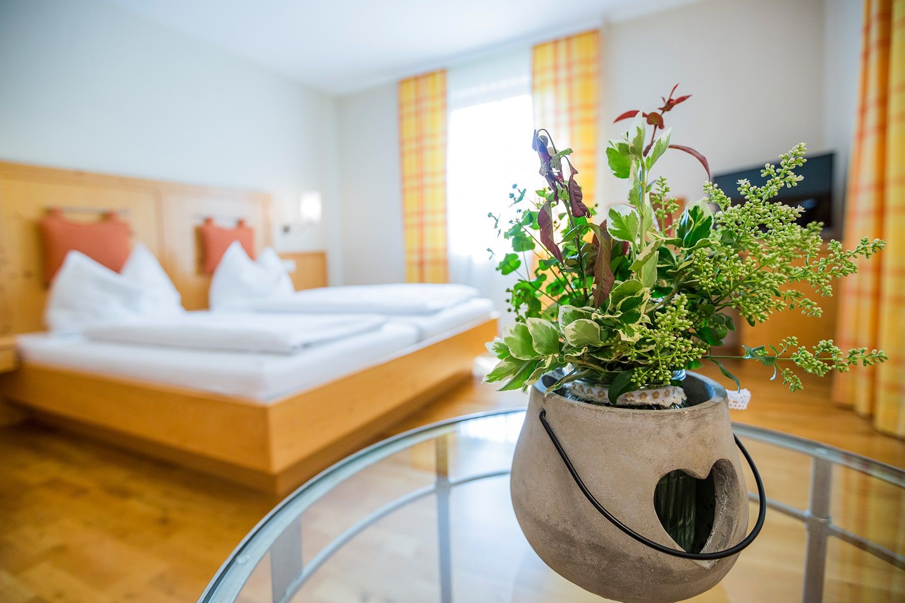 A double room with a bed in the background and a plant in a pot in the foreground.