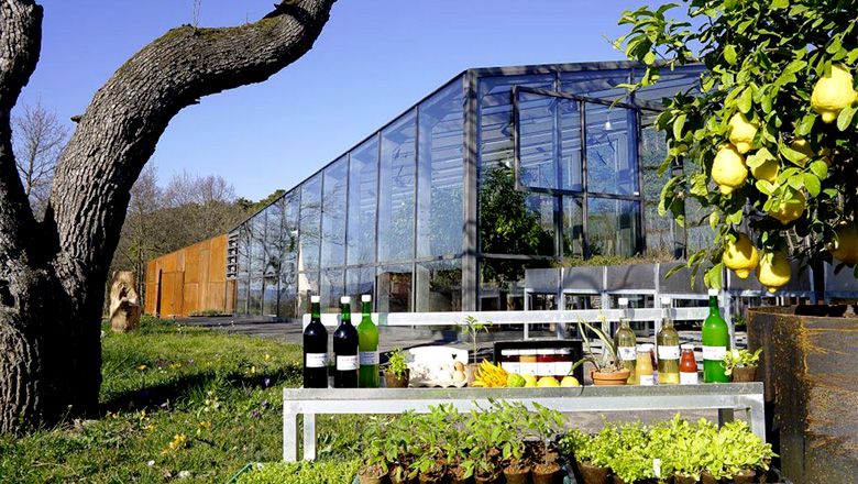 Products on a table in front of a modern greenhouse with trees and plants in the foreground.
