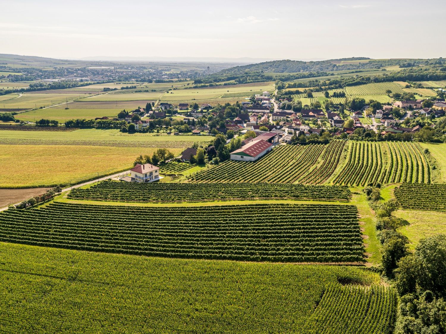 Aerial view of Grossweikersdorf with surrounding fields and vineyards.