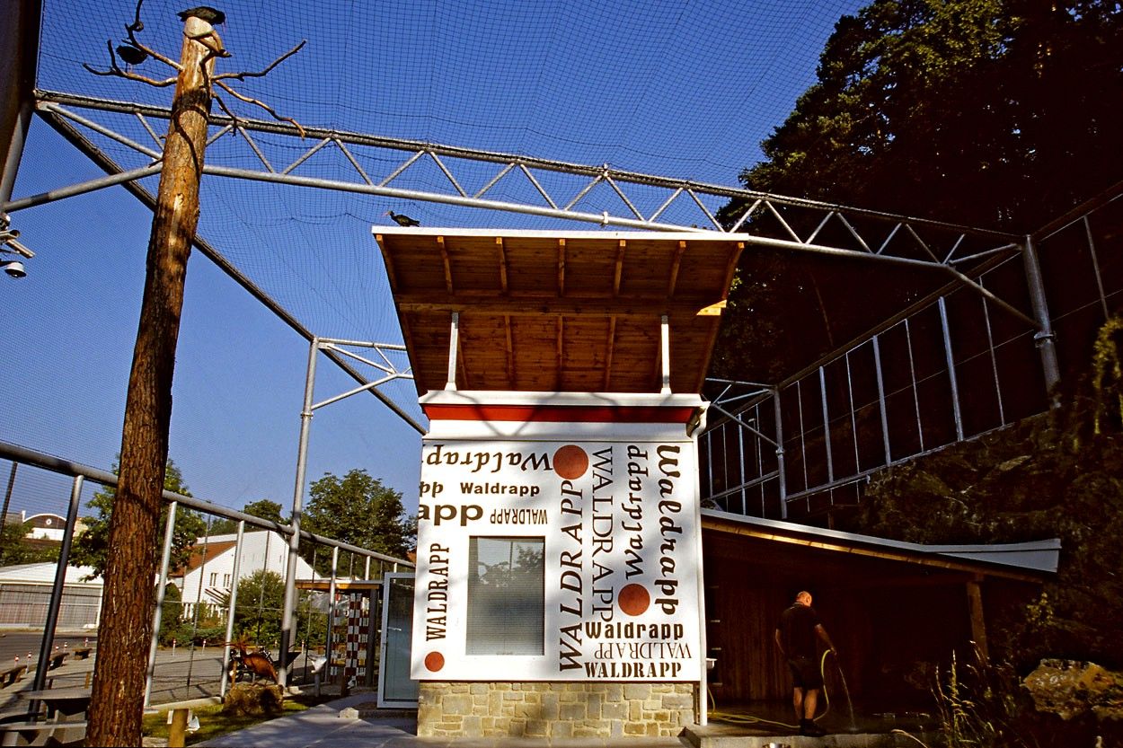 An enclosure with a Northern Bald Ibis bird on a roof and a man watering the ground.