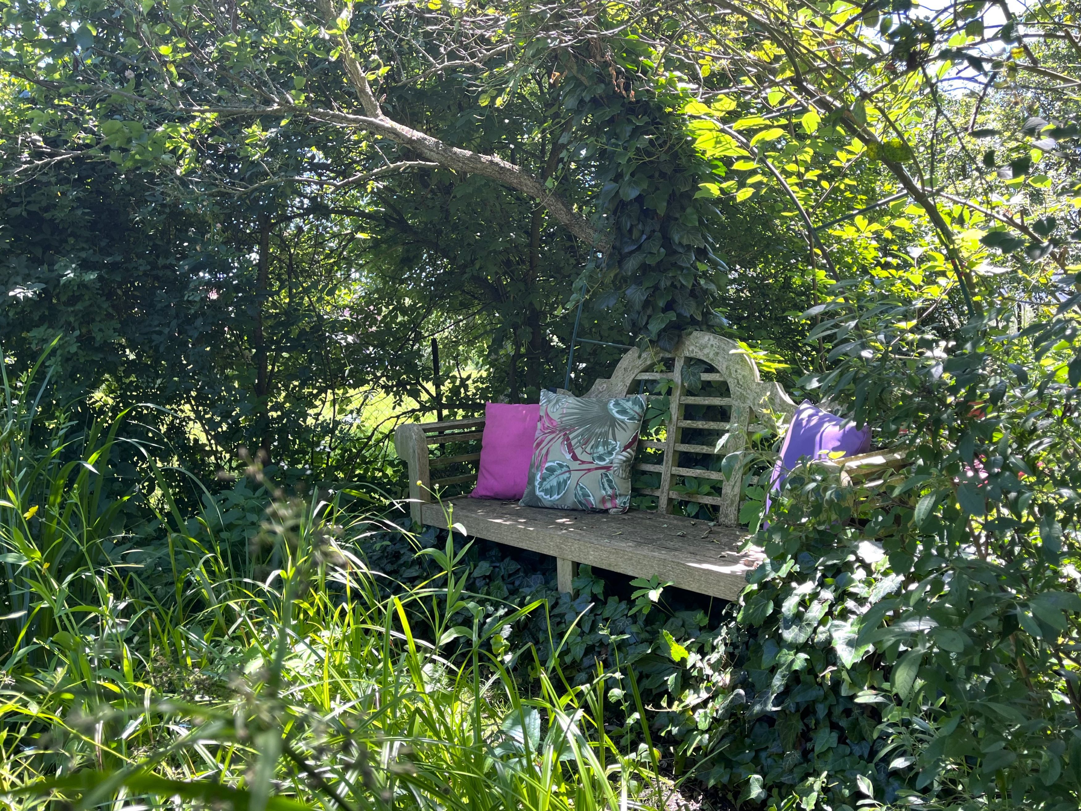A wooden bench with colorful cushions stands under a tree in a lush, green garden.