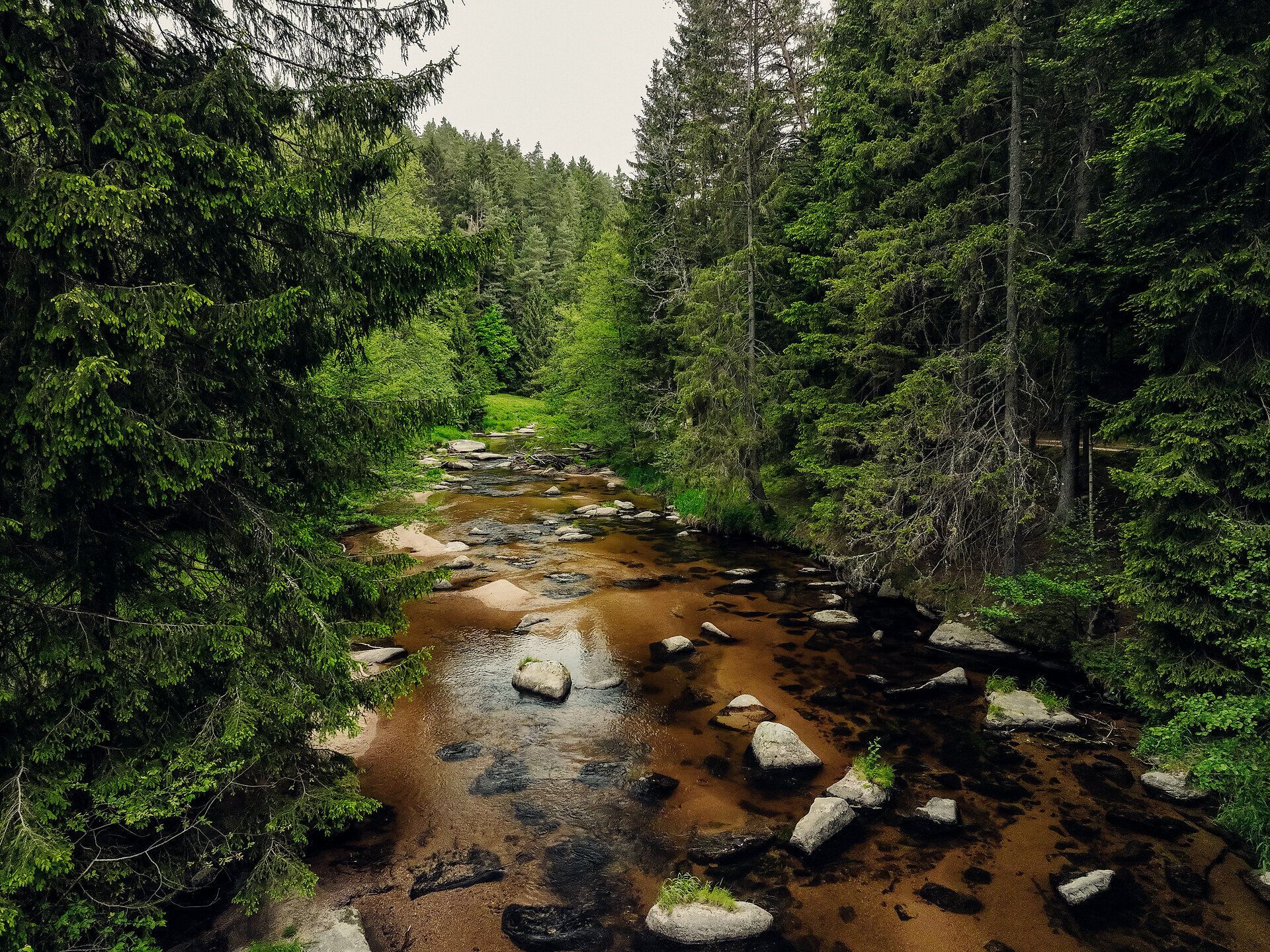 A gentle river meanders through a lush, green landscape surrounded by majestic trees. The tranquil atmosphere invites you to enjoy nature to the full and unwind.
