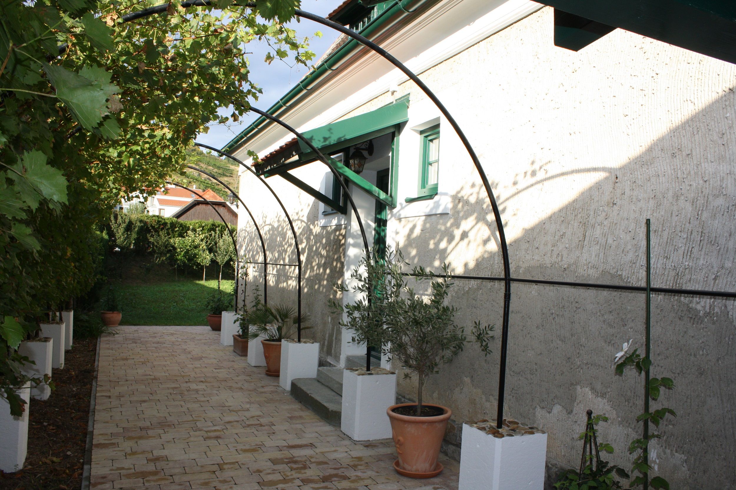Arbor with vines and potted plants at the Schmidl organic winery.