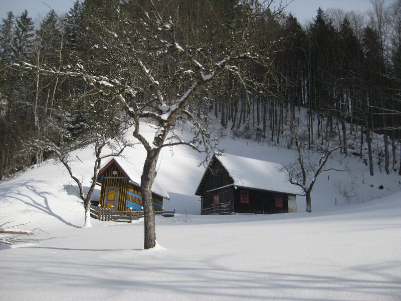 Winter hut