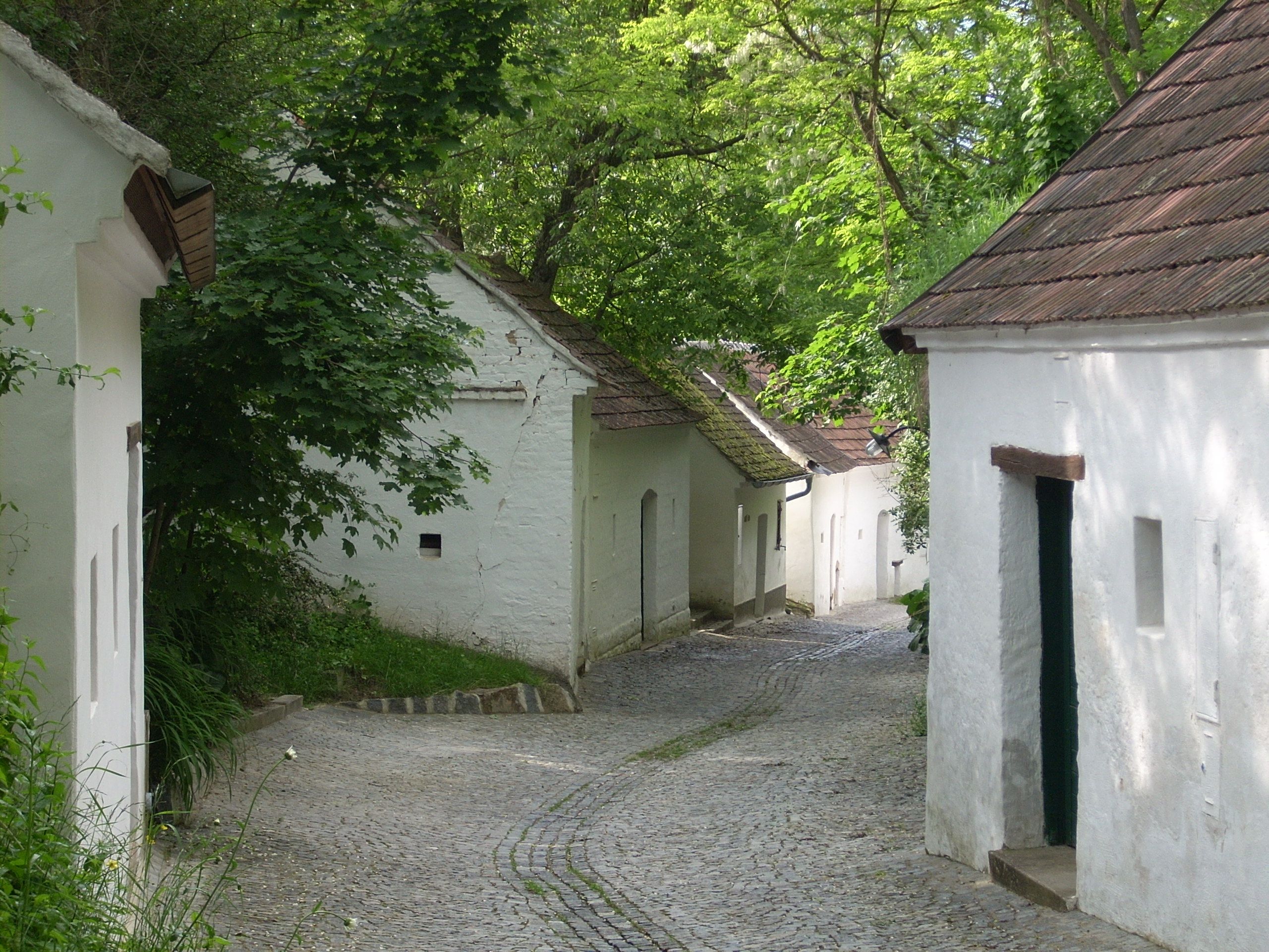 A picturesque wine cellar lane with white wine cellars and cobblestones, surrounded by green trees.