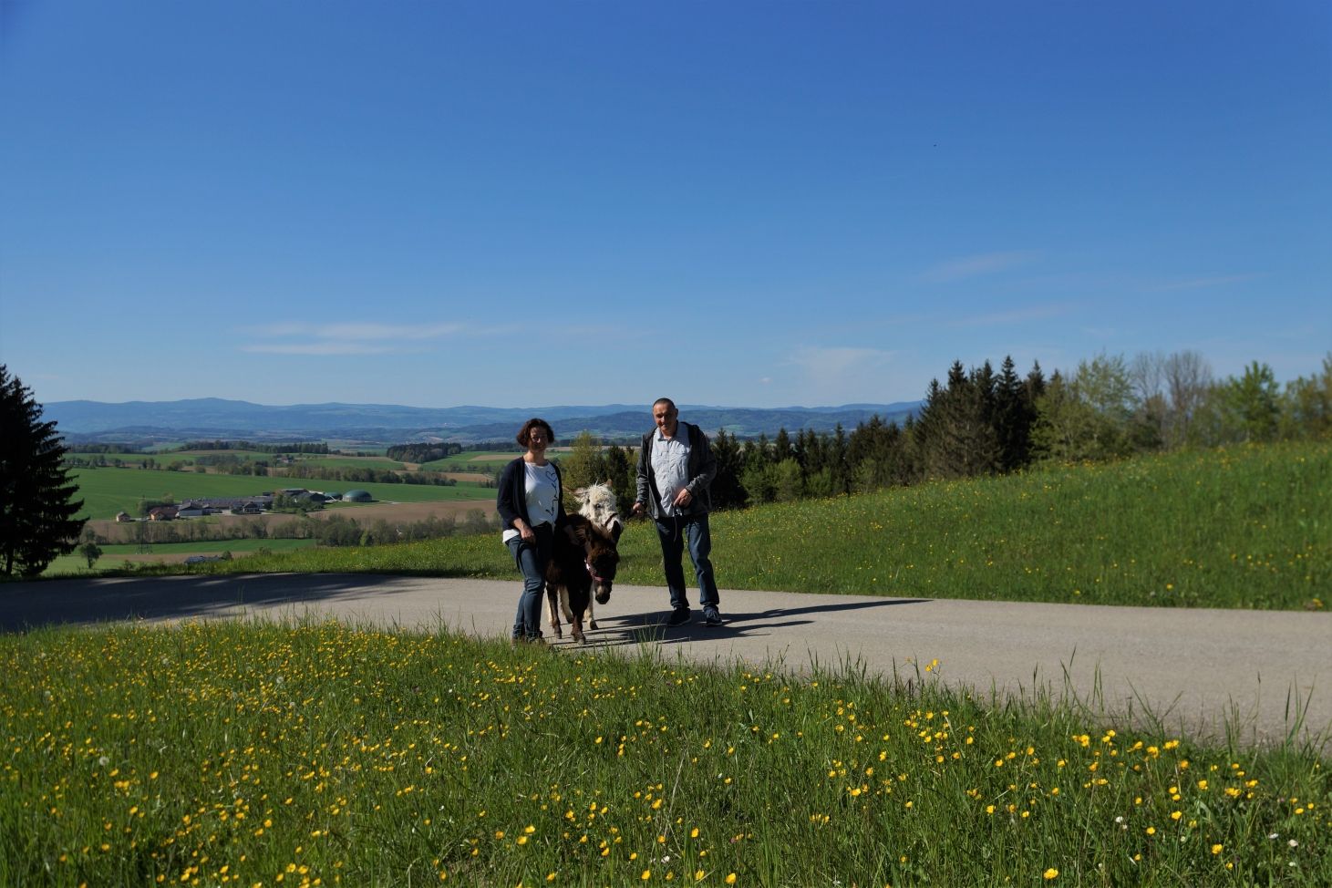 donkey hike karnerhof