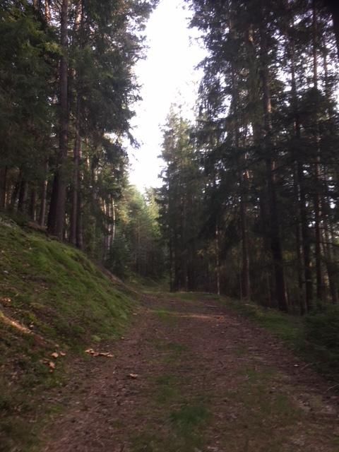 Dachlstein circular trail with Mariensitz