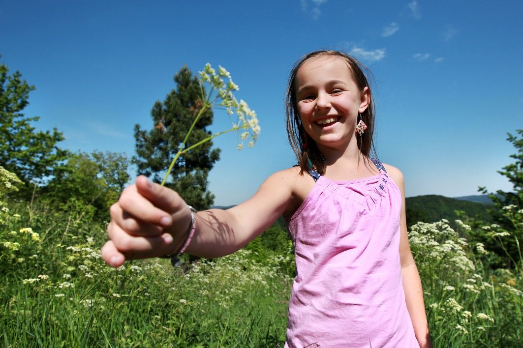 The Hohenwarter Höh "Reh" circular hiking trail is ideal for families.