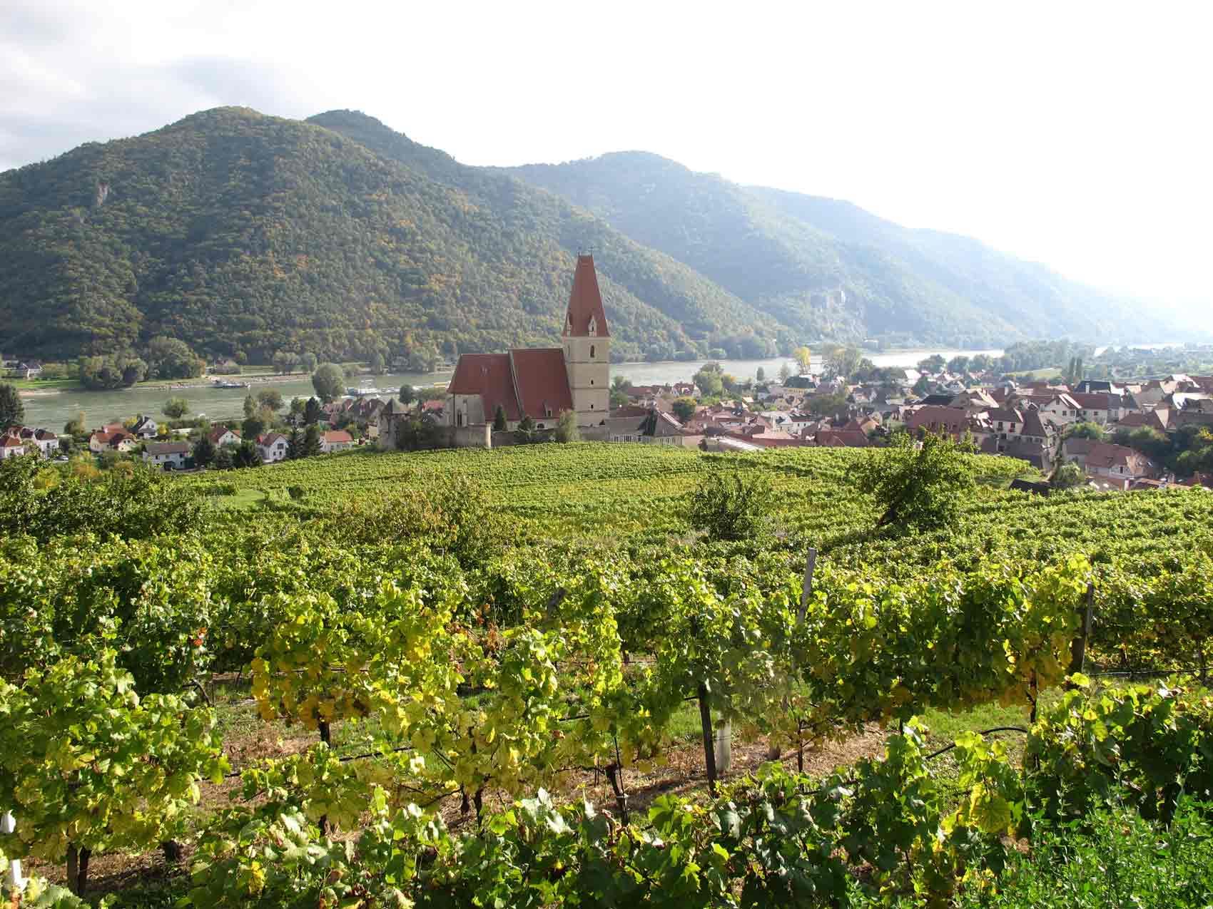 View of a church surrounded by vineyards with a river and hills in the background.