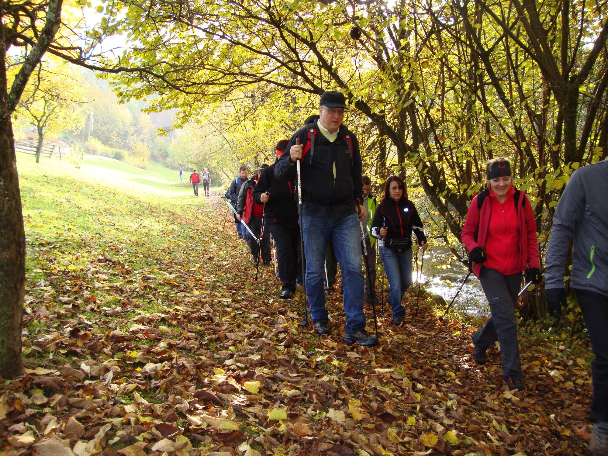 On the way along the Ramingerweg