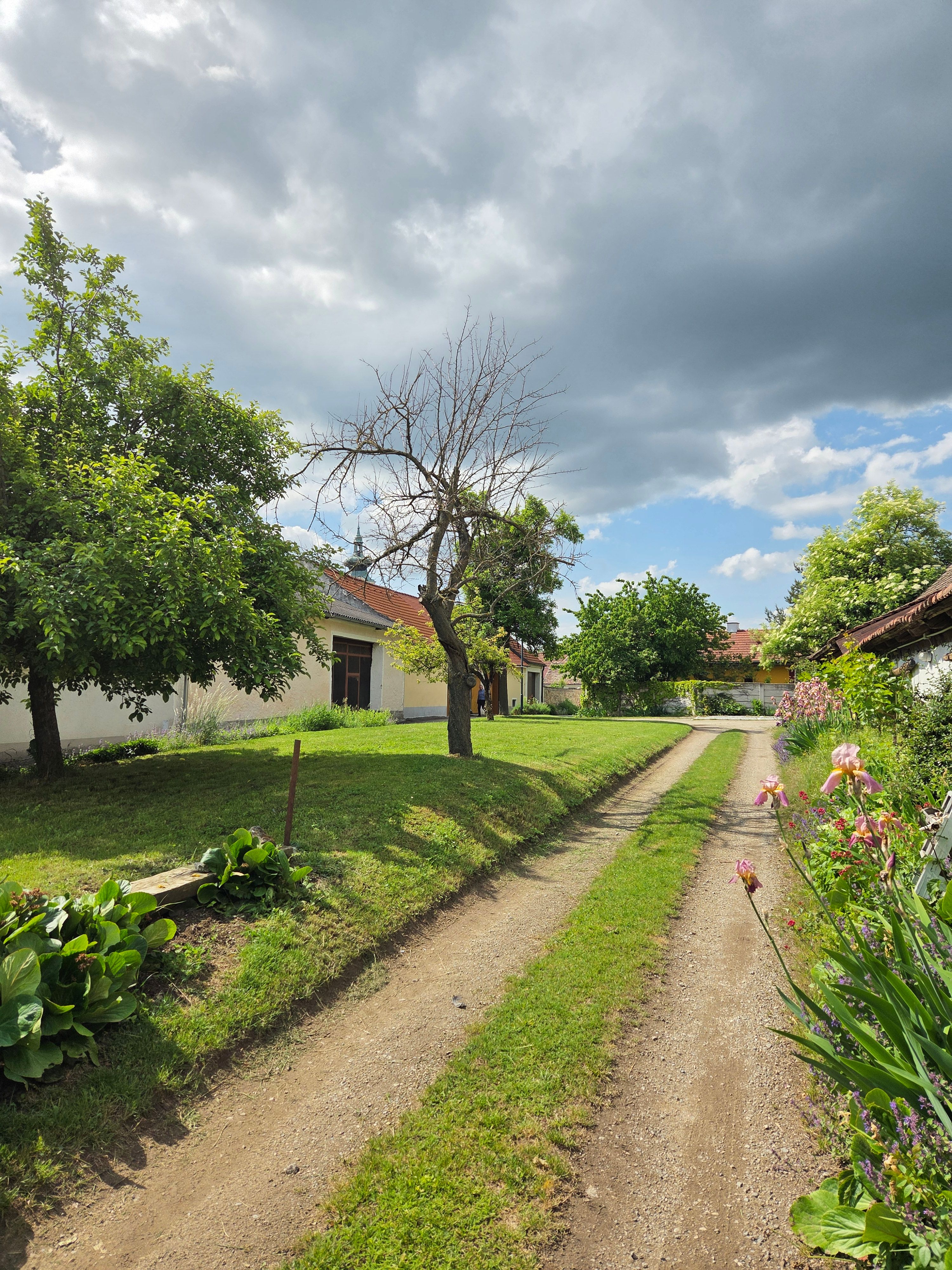 Rural path with trees and flowers, cloudy sky.