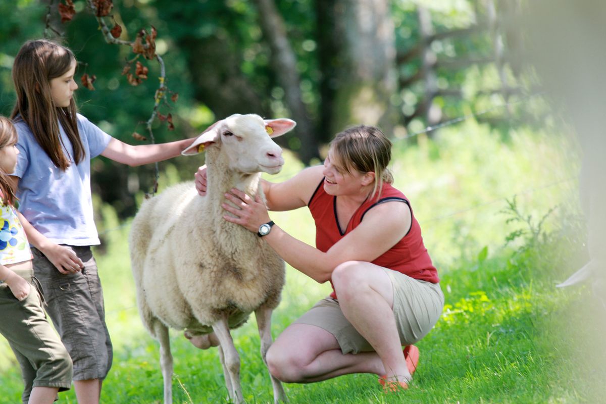 A woman and two children are stroking a sheep in a meadow.