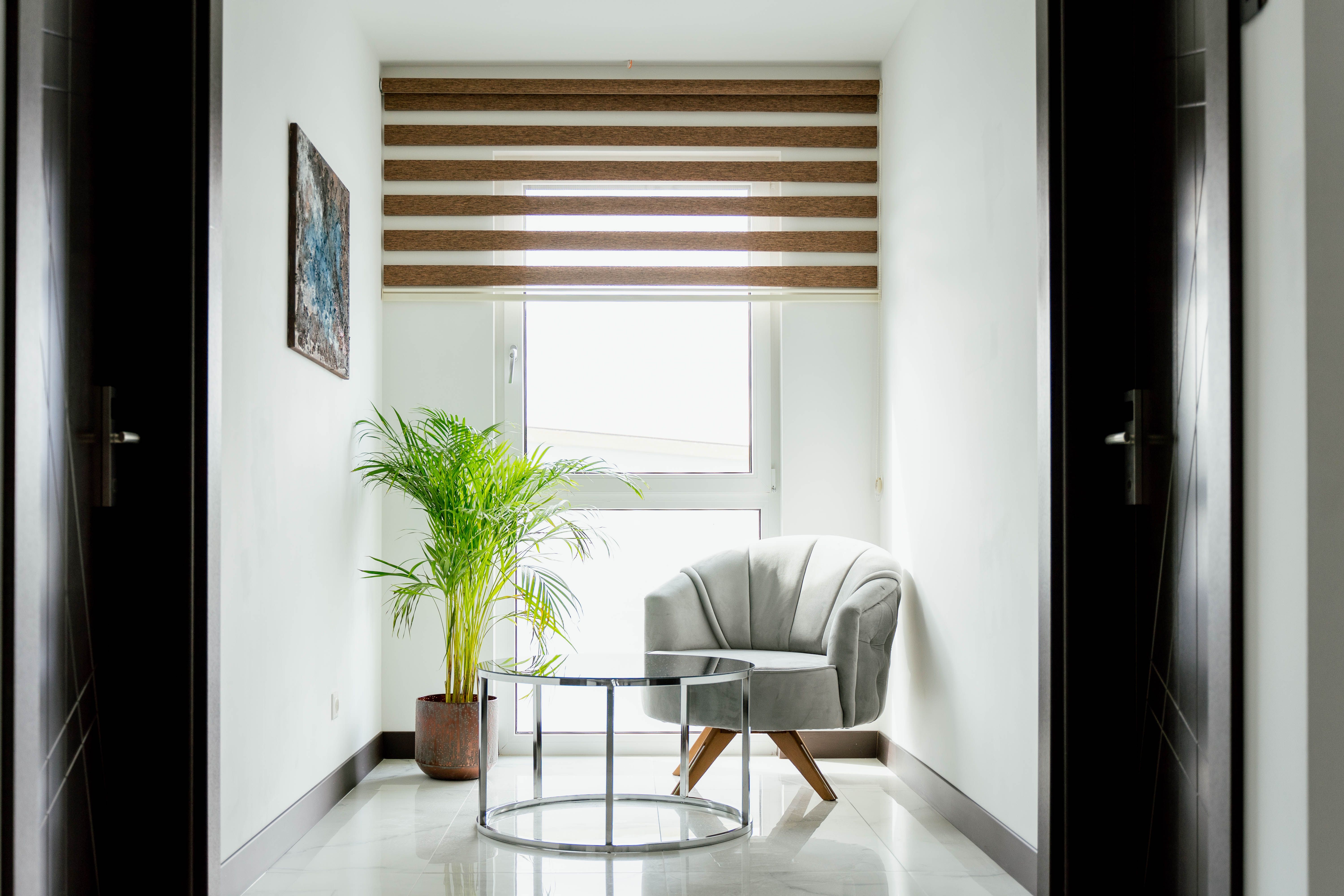 Bright corner with armchair, glass table and plant in front of a window with blinds.