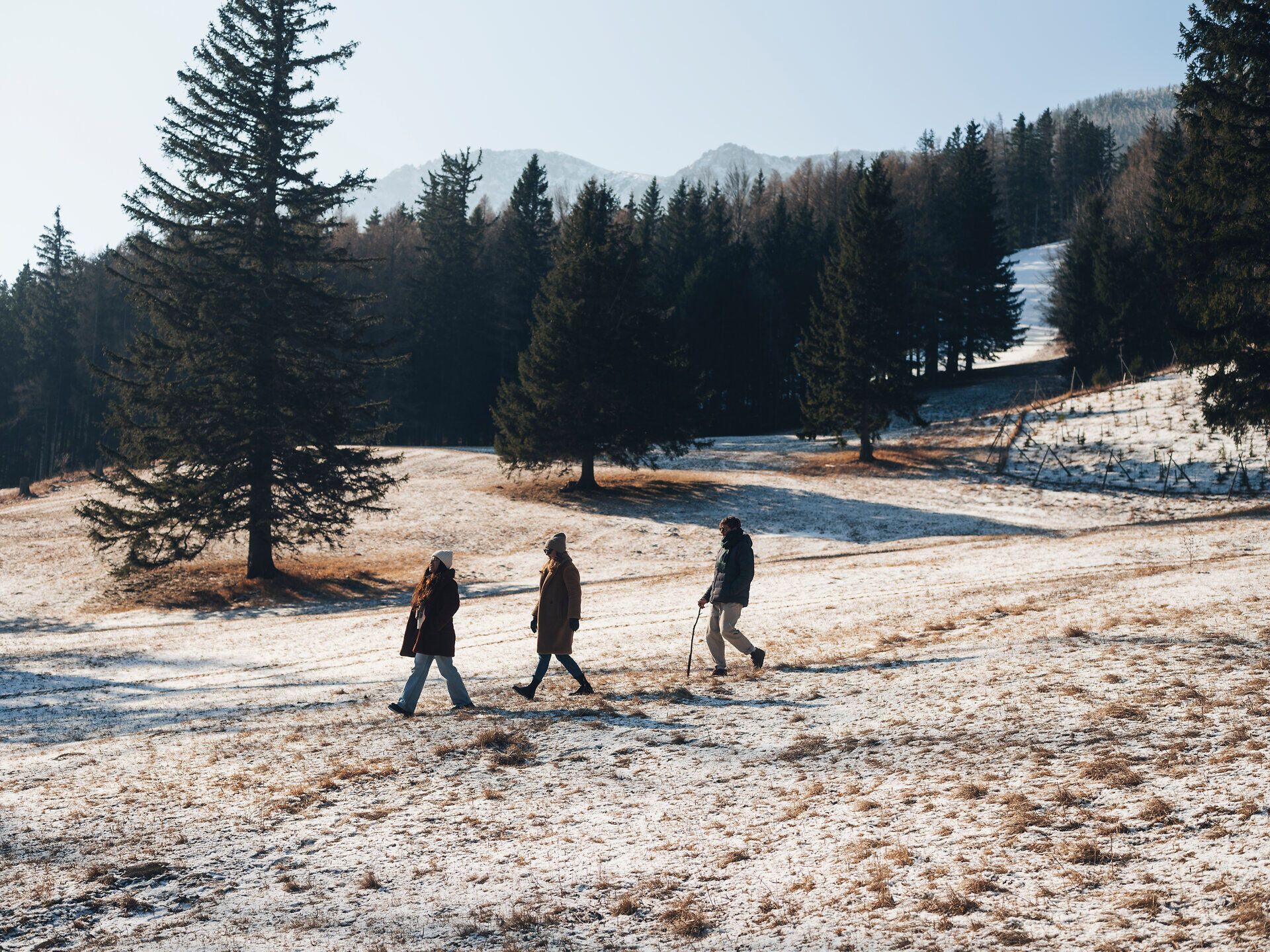In der winterlichen Landschaft der Wiener Alpen wandern drei Freunde durch eine verschneite Wiese, umgeben von majestätischen Tannen. Die klare Luft und die glitzernde Schneedecke schaffen eine friedliche Atmosphäre, die zum Verweilen einlädt.