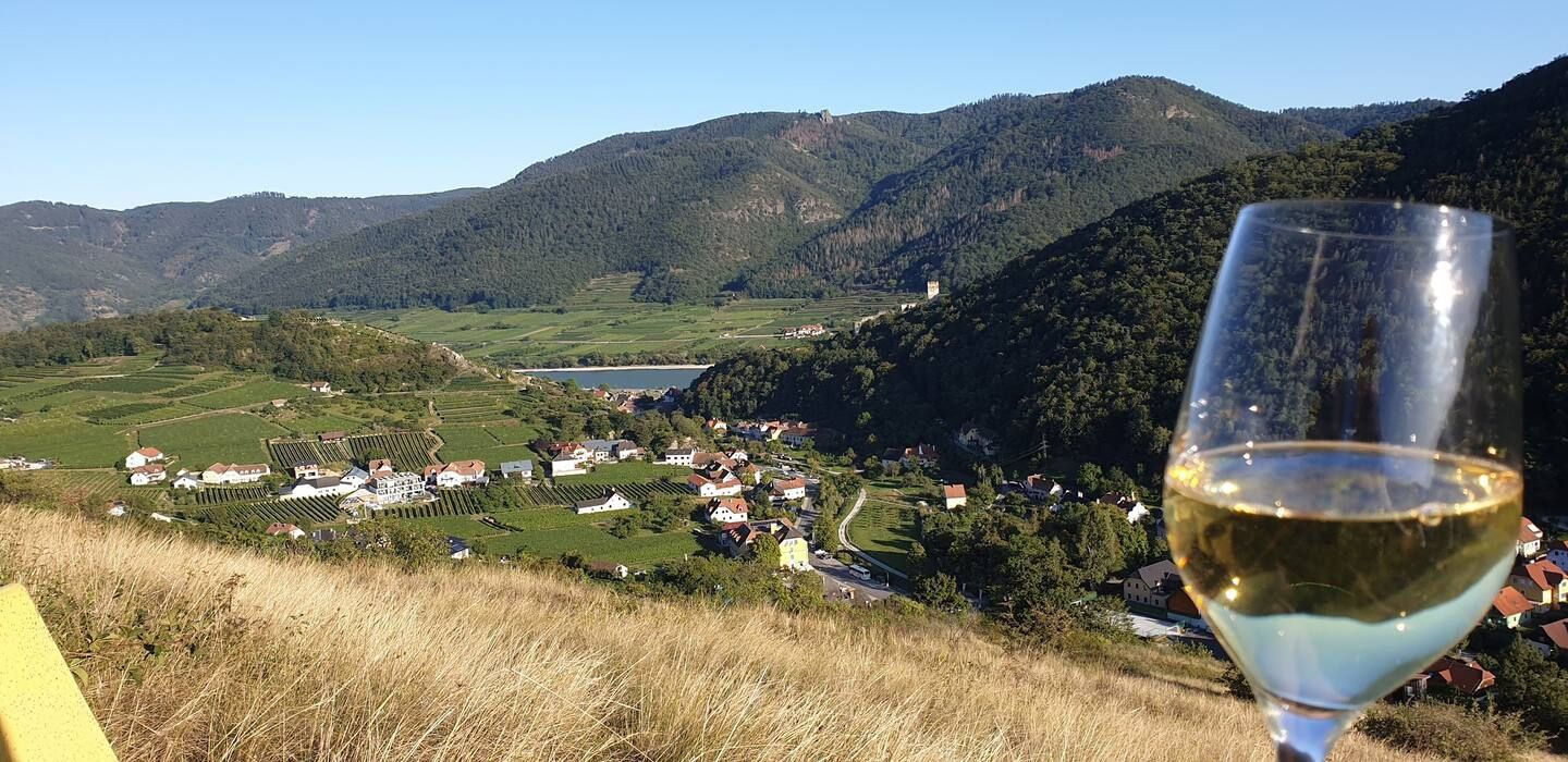 Panorama with wine glass in the foreground, view of a valley with villages and vineyards, surrounded by wooded hills.