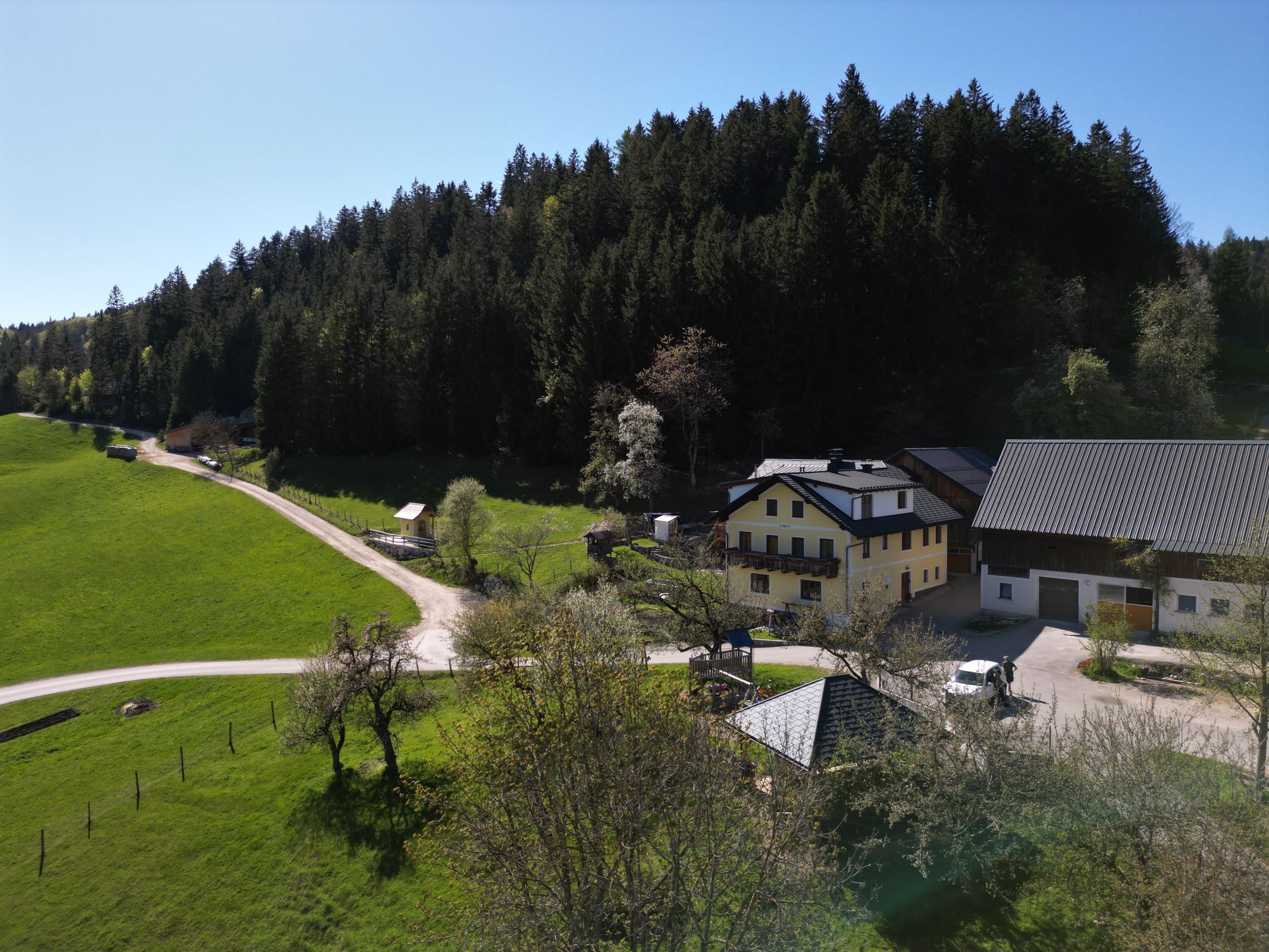 Rural scene with a yellow house and barns, surrounded by green meadows and woods.