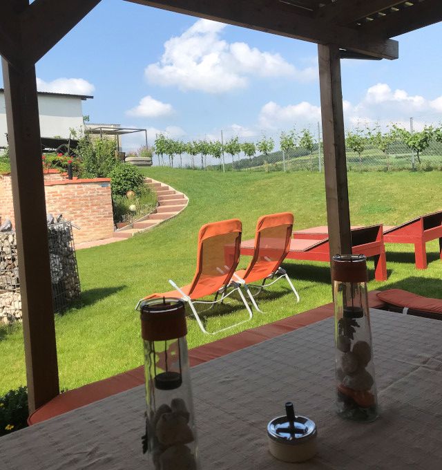 View from a terrace onto a garden with sun loungers and vines in the background.
