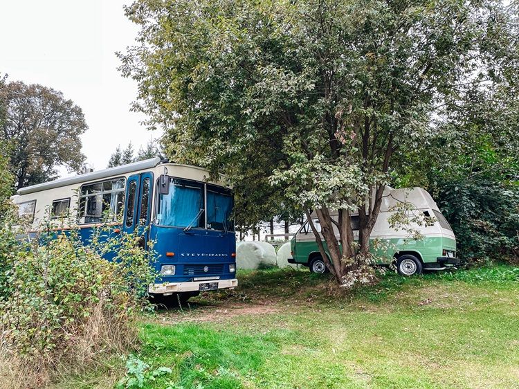 Two old, converted mobile homes are parked on a green meadow under trees.