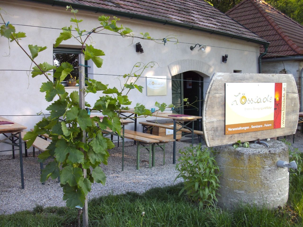 Lössiade guest garden with wooden benches, vines in the foreground and barrel sign in front of a traditional building in daylight.