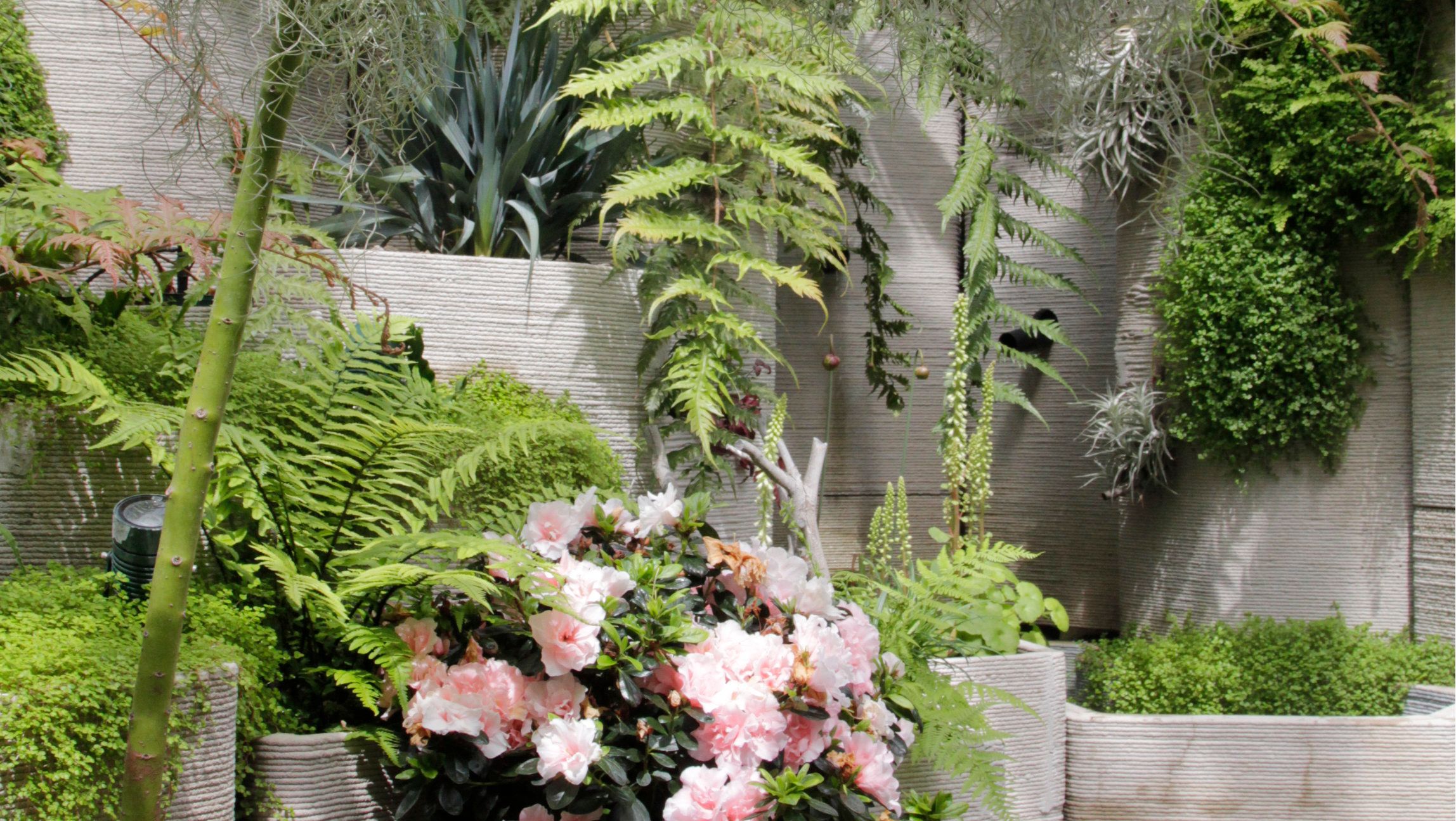 A glass house with lush greenery and flowering plants.