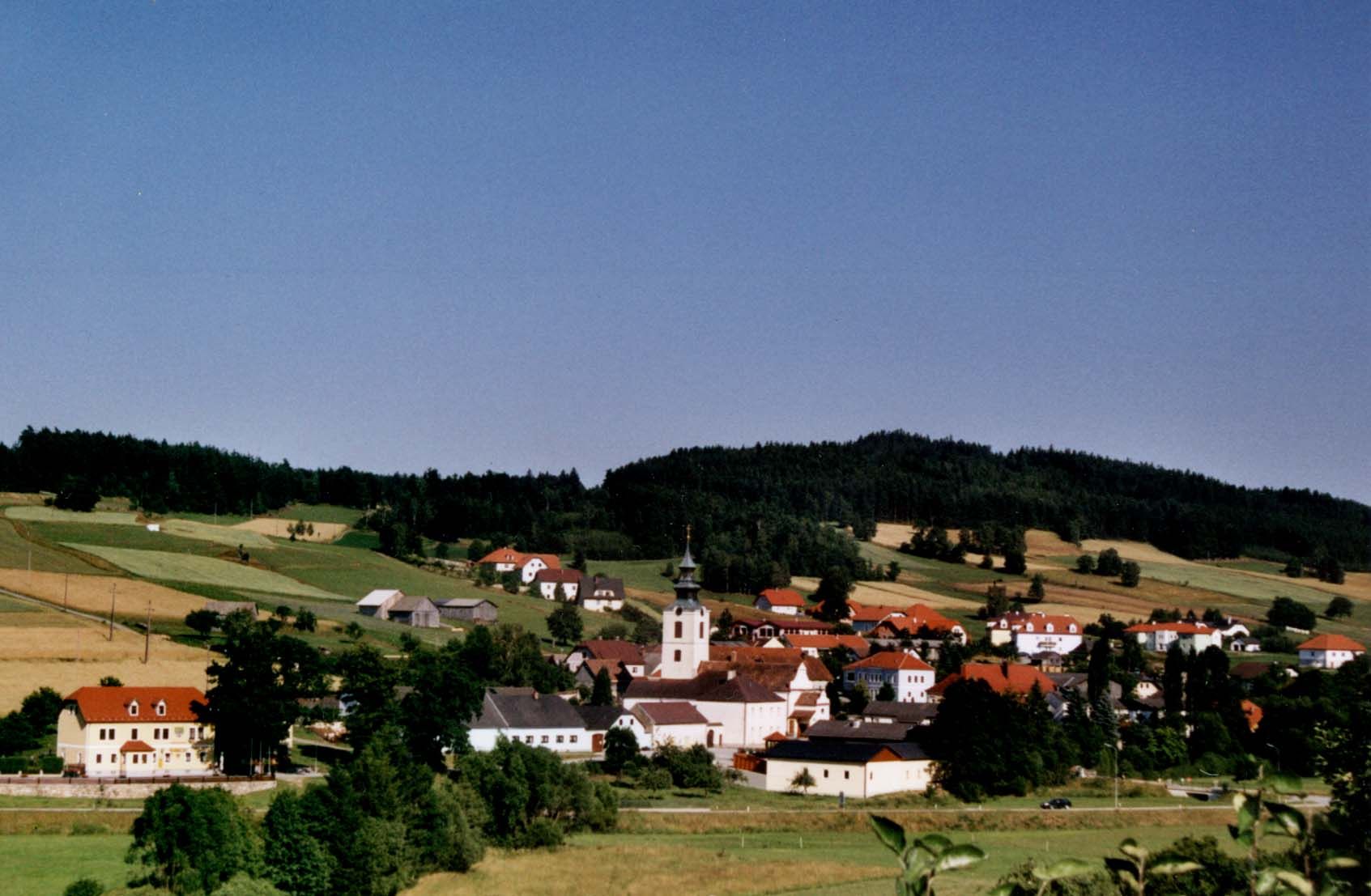 Panorama of a village with a church and red roofs, surrounded by green fields and forests.