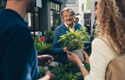 Auf dem Wochenmarkt am Domplatz herrscht eine lebendige Atmosphäre, während frische Kräuter und Pflanzen zum Verkauf angeboten werden. Die freundlichen Gespräche zwischen den Besuchern und den Verkäufern schaffen ein einladendes Ambiente, das die Sinne anregt und die Freude am Einkaufen fördert.