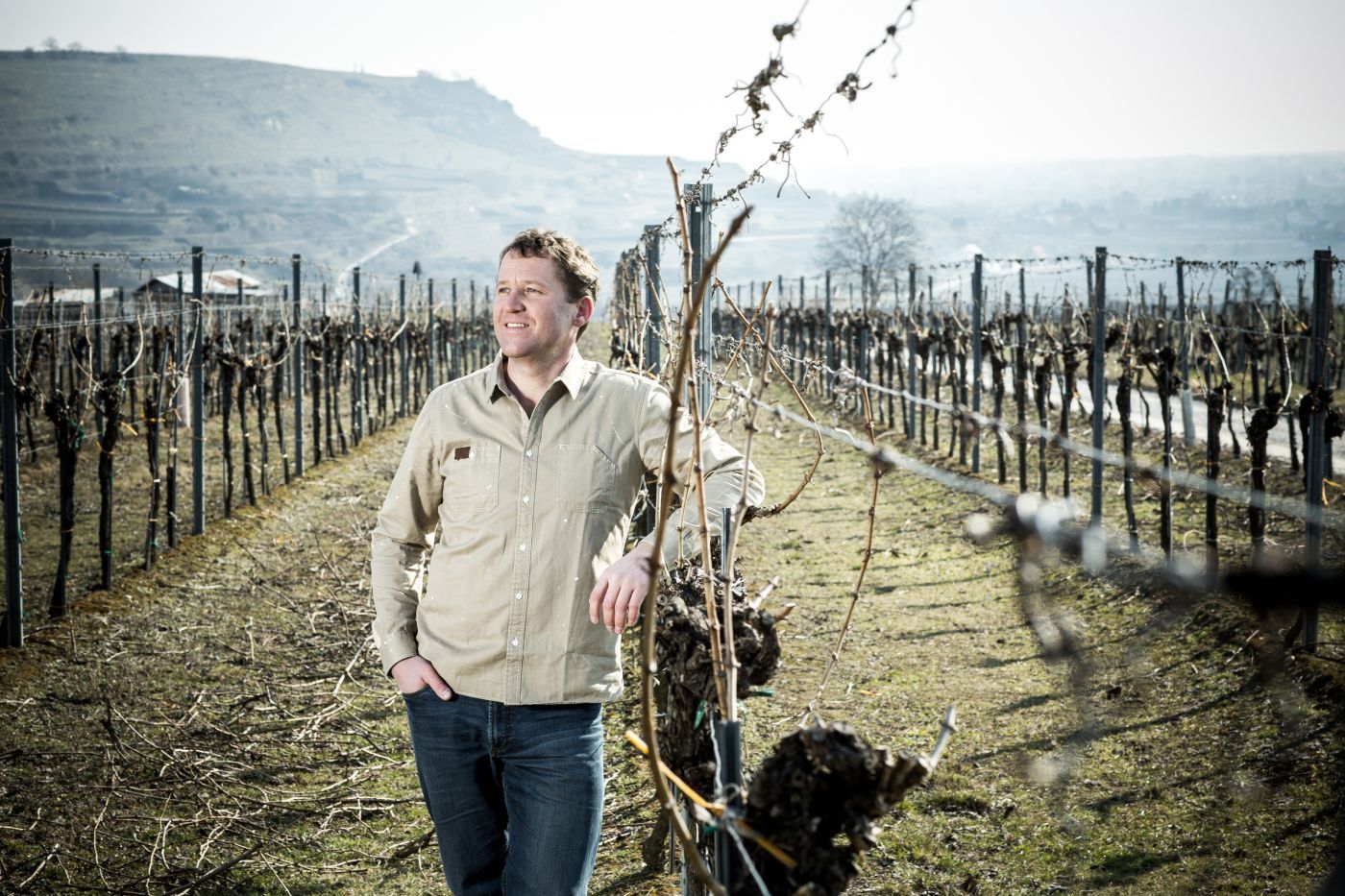 A man stands in a barren vineyard and looks into the distance. Hills can be seen in the background.