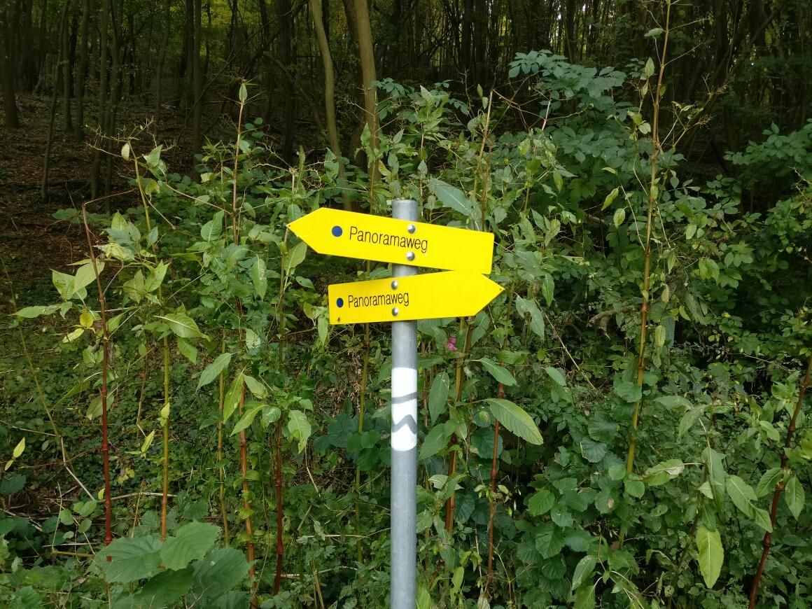 Panorama trail signage