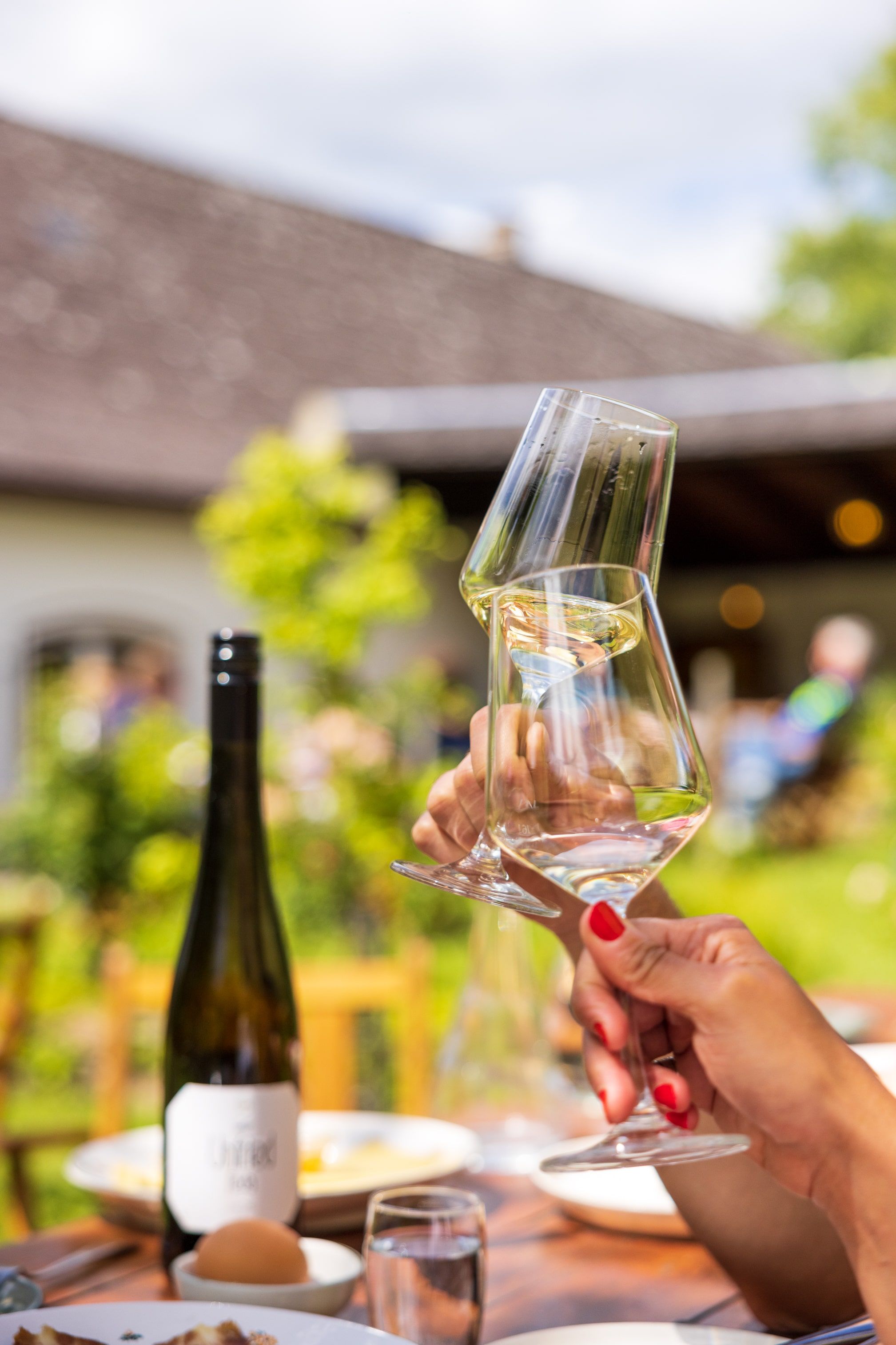 Enjoy a glass of good wine