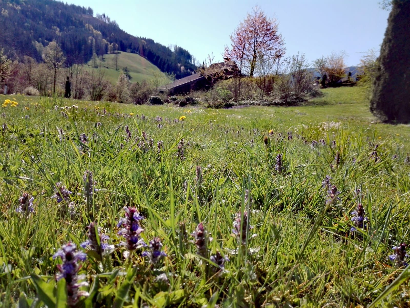 Vacation homes Kogelsbach