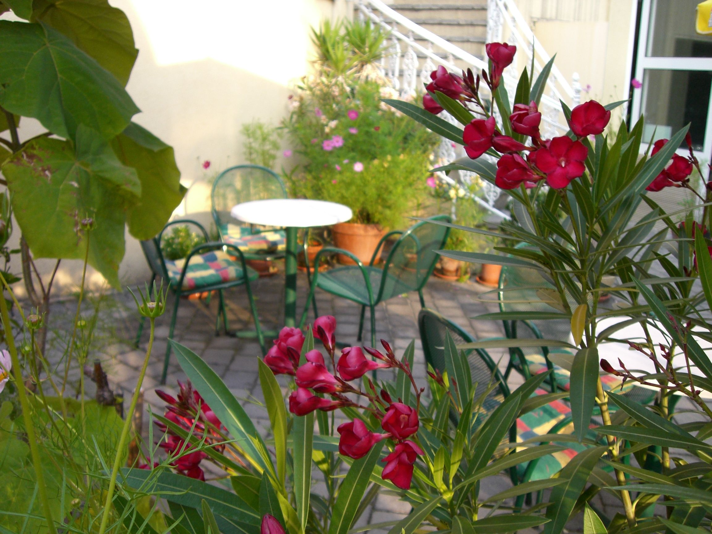A cozy garden area with green chairs and tables, surrounded by flowering plants.