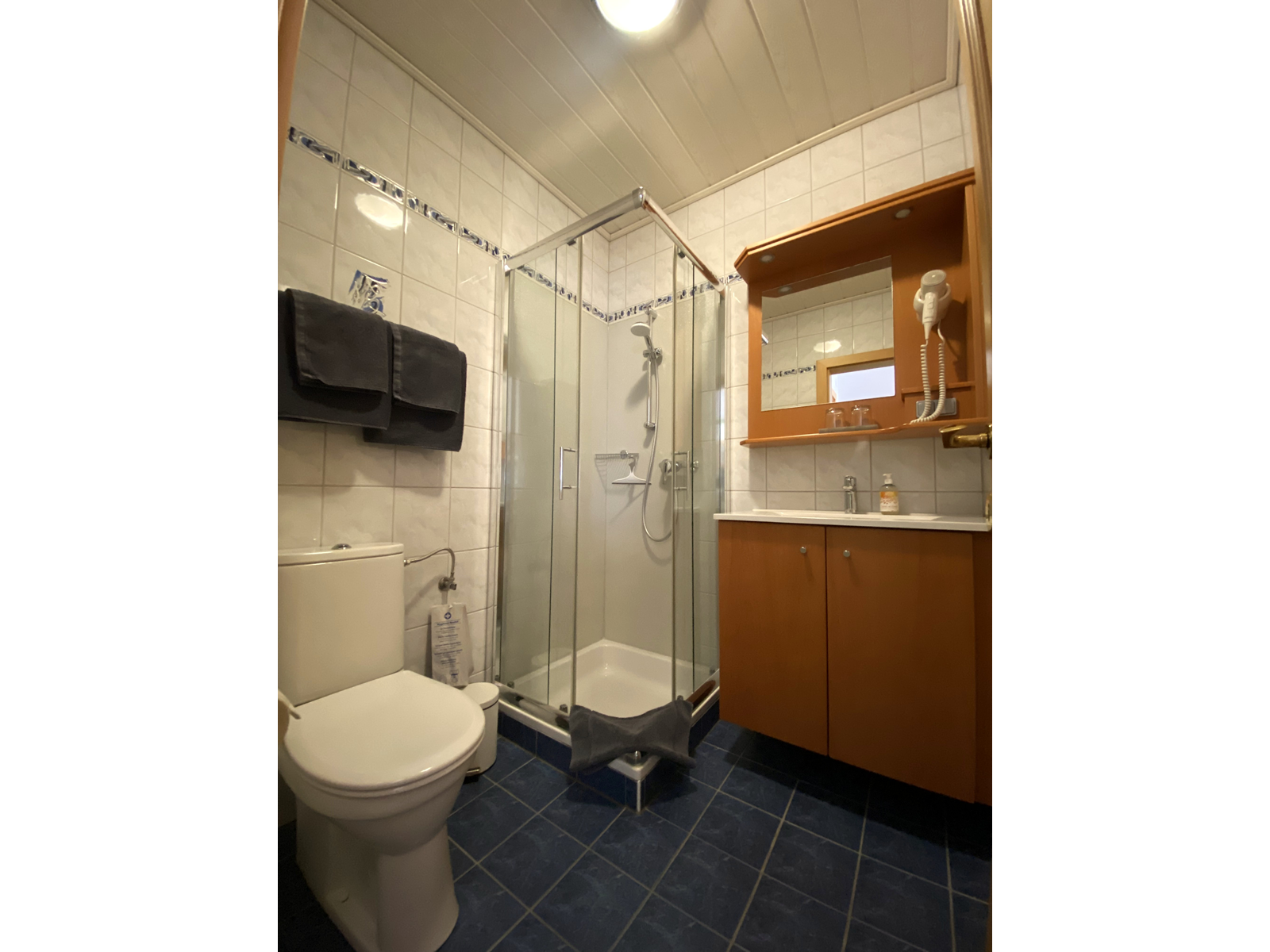 Bathroom with shower, toilet and washbasin.