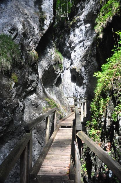 Falcon Gorge Tour